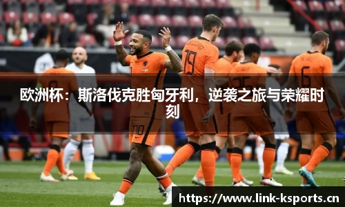 k体育