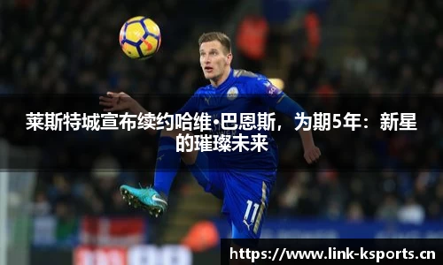 k体育官方网站