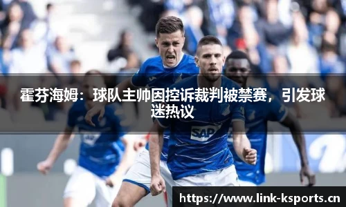 k体育官方网站