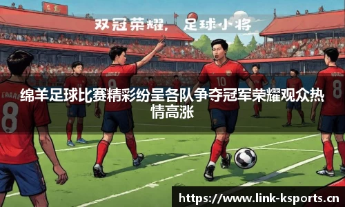k体育官方网站