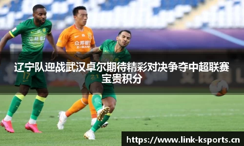 k体育官方网站